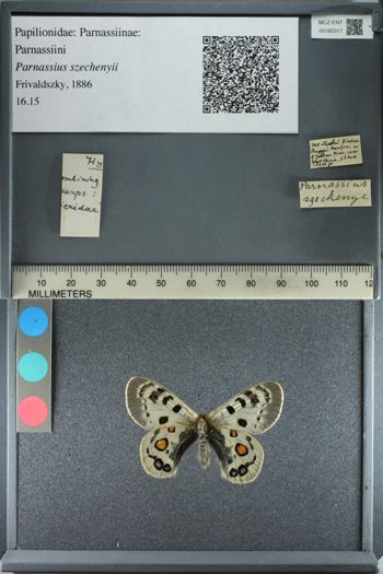 Media type: image;   Entomology 180317
